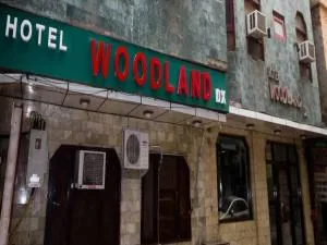 Hotel Woodland Deluxe - New Delhi