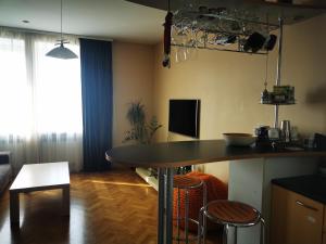 Spacious Apartment with free parking in Kaunas