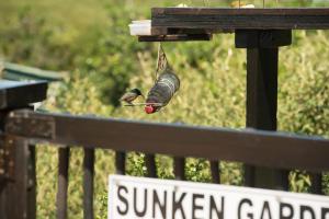 Paradise Self-Catering Units