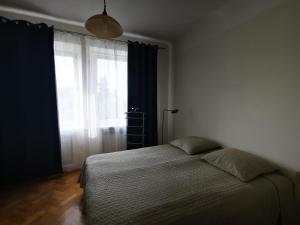 Spacious Apartment with free parking in Kaunas