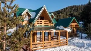 Villa Borje - Šumanovac