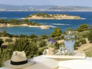 Βίλα με Υπέροχη Θέα Porto Cheli Villa Luxury Kounoupisea - Agios Aimillianos