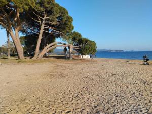 Appartements Appartement 2 pieces : photos des chambres