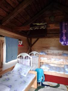 Camp &Apartmens Scepanovic