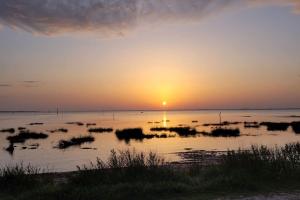 Maisons de vacances La maisonnette de Suzette : photos des chambres