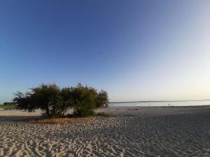 Maisons de vacances La maisonnette de Suzette : photos des chambres