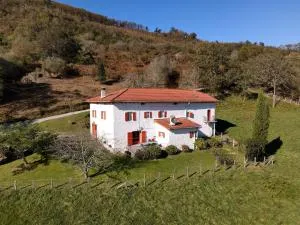Casa Rural Erreteneko borda - Alzate