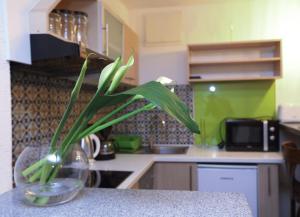 Apartment Secret life