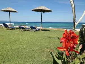 Studio Thalassa - Kipseli