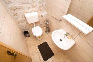 House Stone Curlew 3