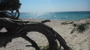 Istentales Alghero img48