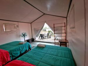 Ecocamp Huacachina