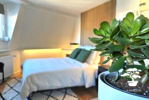 Appartements Suite dernier etage Saint-Maur : photos des chambres