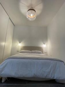 Appartement 3 pièces refait à neuf. Centre-ville.