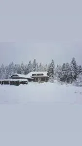 LYNX HOUSE - Marija Trošt