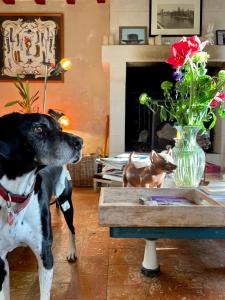 Sejours chez l'habitant Domaine de La Vove : photos des chambres