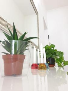 Appartamento Teatro Massimo