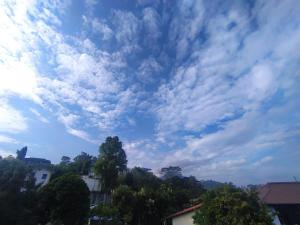 Zuni`s Home Stay