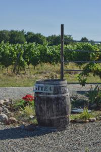 Maisons de vacances Gites at Le Prielle : photos des chambres