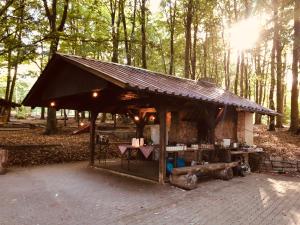 Schwedischer Shelter unter Buchen