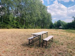 Schwedischer Shelter unter Buchen