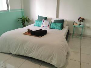 Damansara Perdana 3BR for 3-7 Guest Near Ikea