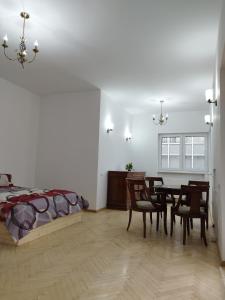 Central appartment - heart of Bucharest - sector 1 - new renovated - open space