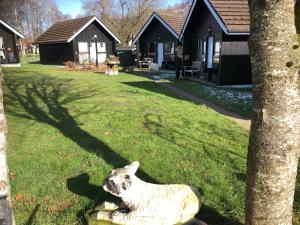 Kilcoy Chalets