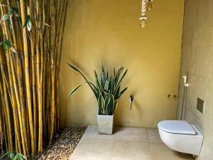 Mangrove Beach Chalets