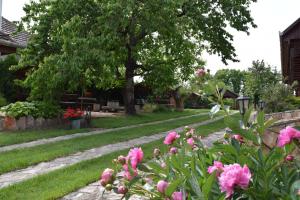 Bodrog-parti Vendégház Bodrogolaszi