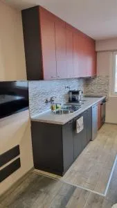 Lux apartment - 维丁