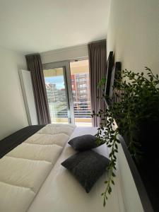 Petit plage Nieuwpoort-Bad