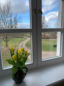 Schloss Lelkendorf, Fewo Hoppenrade