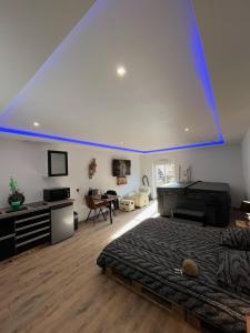 Loft Spa Led & bo