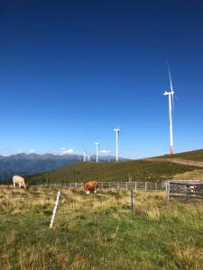 Ferienwohnung Lachtal
