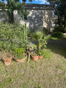 Appartamenti Su Pasiu img17