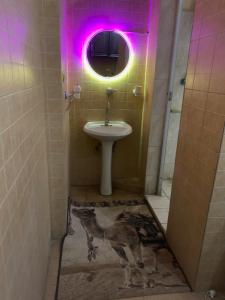 Osiris pyramids view inn