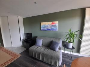 Appartements A 5 mns du Puy de Dome avec Vue imprenable Studio rez de jardin 24m2 neuf a Laschamps : photos des chambres