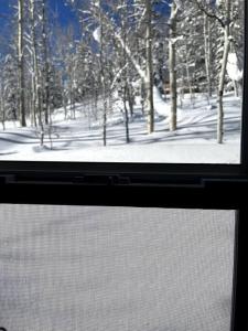 Park City Serenity Spa Cabin