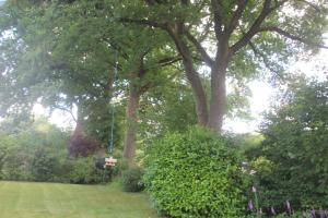 Möwennest im Umland Hamburgs