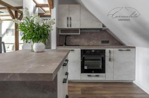 Spacious sky Carmelite apartment