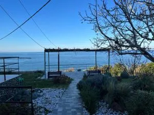 Villa Leonidas KOUTSOUPIA - Velika