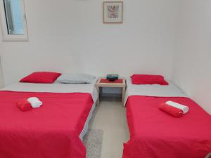 Splendid studio apartment