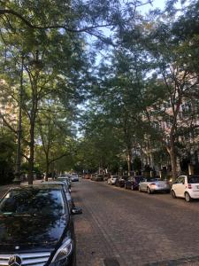 Hegelstraße 19, Prachtstraße der Gründerzeit