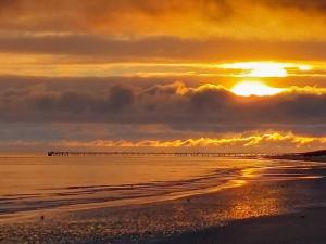 Studio Bords de plage