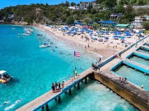 Beautiful Villa 5 mins from Crash Boat Aguadilla 1 - Maleza