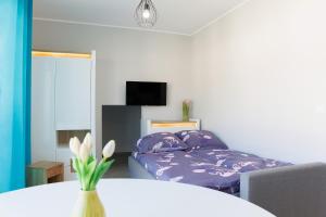 Apartament MORSKI Północna 18B Darłówko DreamHouse nad morzem