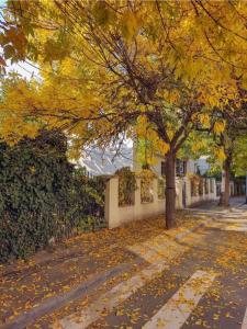 Charming Place Cotroceni