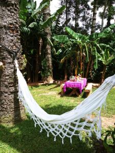 Bangalo a beira do rio em plena natureza