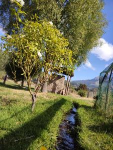 El viejo Boliche Apart